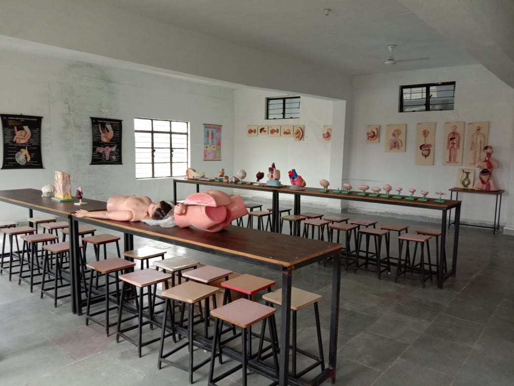 1 Department of Human Anatomy